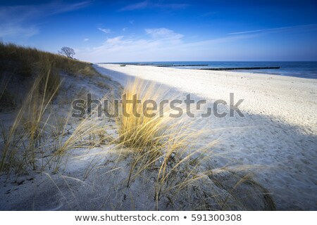 Stock photo: Beautiful Landscape Dunes Baltic Sea In Autumn Winter