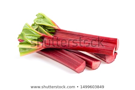 Foto stock: Rhubarb