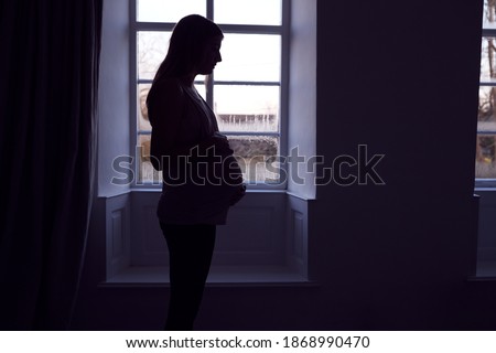 Stock fotó: Pregnant Woman Belly