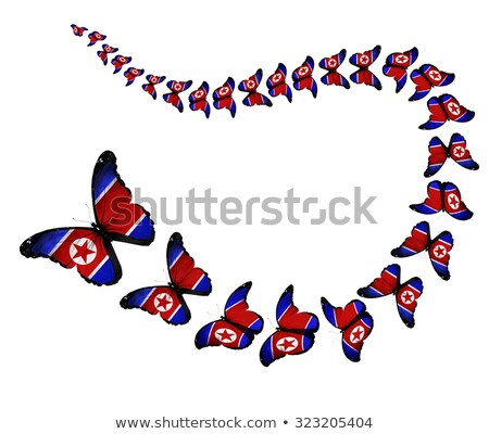 [[stock_photo]]: North Korea War Flag Letters Background