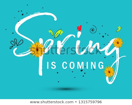 Stok fotoğraf: Fresh Vector Design For Banners Greeting Cards Spring Sales