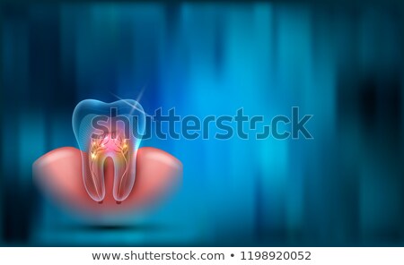 Foto stock: Beautiful Transparent Tooth Cross Section