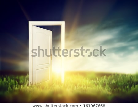 Stock photo: Open Door To New Life On The Field