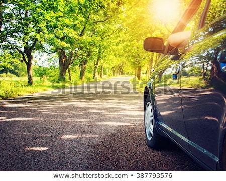 Foto stock: Man On Road In The Green Forest