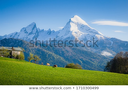 Stock photo: Bavarian Alps