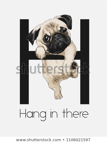 Stock photo: Vector Sketch Cute Dog Pug Breed