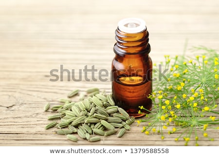 ストックフォト: Fennel Seeds With Essential Oil In A Bottle