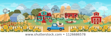 Stock photo: Farm Scene In Nature With Barns And Sheeps