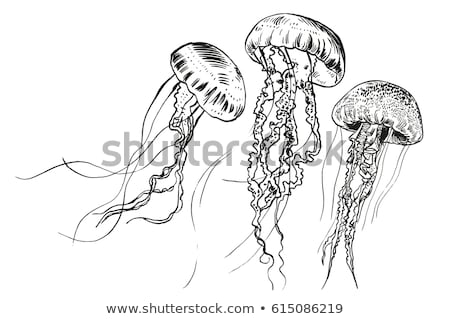 Stockfoto: Jellyfish In Hand