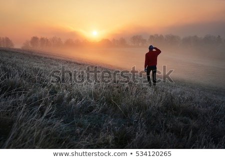 商業照片: Frozen Forest With Man And Sun Rays