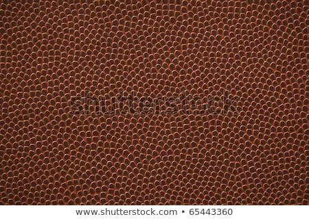 Foto d'archivio: Football Leather Texture