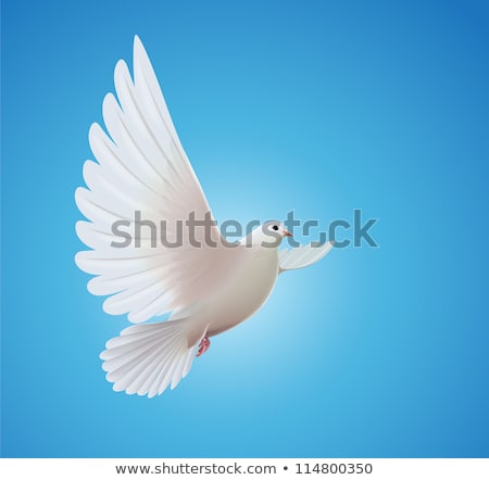 Stockfoto: Love With Birds In Blue Sky Vector