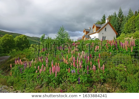 Foto stock: Beautiful Old Scottish Country House