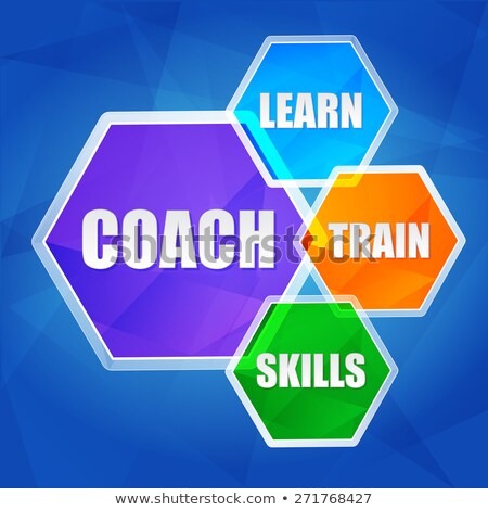 Coach Learn Train Skills In Hexagons Flat Design Stock photo © marinini