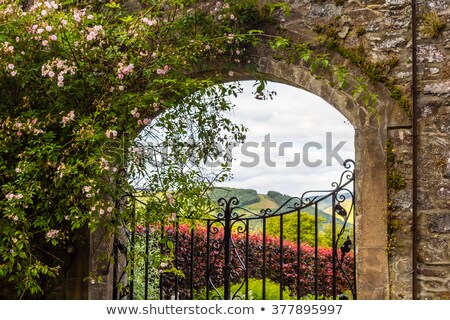 Beautiful Old Garden Gate With Ivy And Climbing Roses ストックフォト © Julietphotography