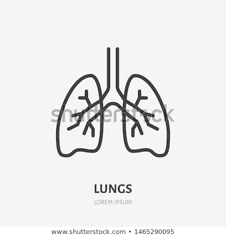 Stock fotó: Human Lungs Icon