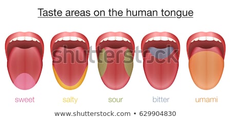 Stock photo: Human Tongue