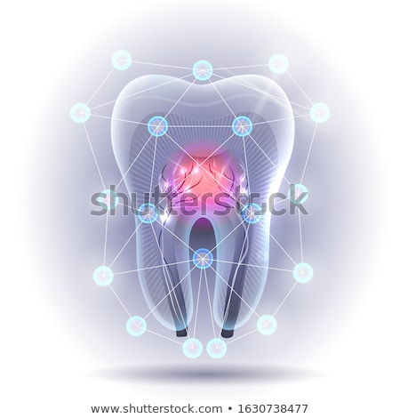 ストックフォト: Scientific Tooth