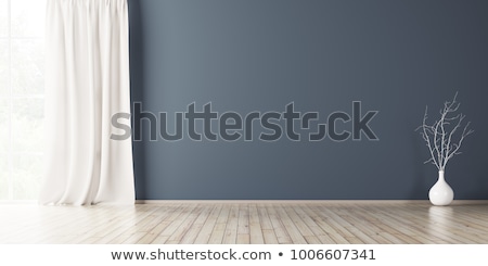 Zdjęcia stock: Empty Room With Window And Curtains