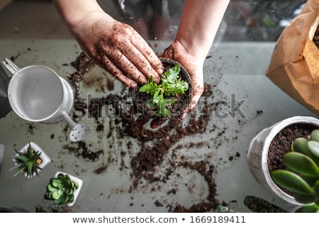 [[stock_photo]]: Gardener Girl