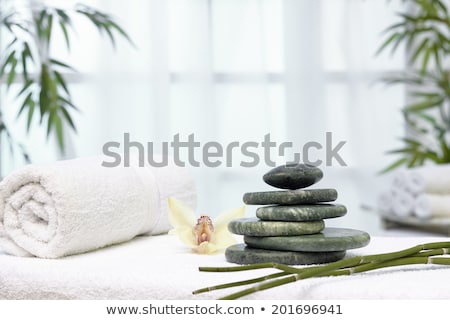 [[stock_photo]]: Wellnes And Massage Oasis