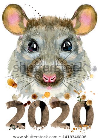 Foto stock: Watercolor Portrait Of White Rat With Splashes And Year 2020