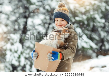 Zdjęcia stock: A Child In A Snowy Forest Holds A Live Rabbit In A Box