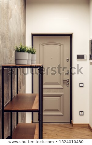 Foto stock: White Clean Hallway In Luxury Modern House