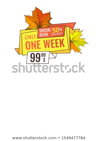 Stock foto: Exclusive Offer Thanksgiving Special Price Posters