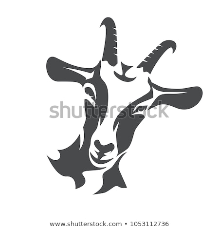 Foto stock: Head Of A Goat