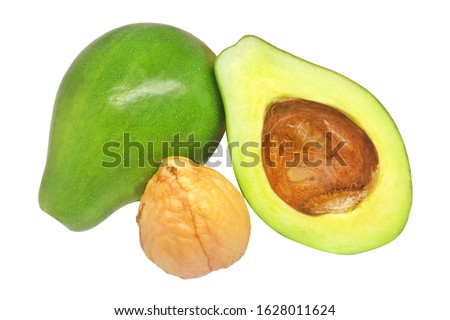 Сток-фото: Avocado Persea Americana Leaves Paths