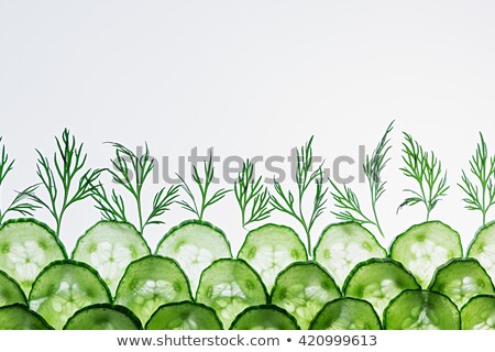 Сток-фото: Cucumber Slices Green Dill Pattern Frame With The Copy Space Food Background
