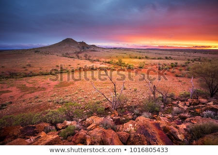 Outback Landscape Stok fotoğraf © kwest