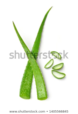 Stockfoto: Aloe Leafs