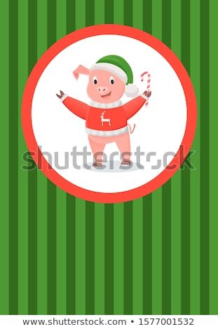 Stockfoto: Pig In Red Sweater With Reindeer Green Hat Candy