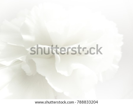 Foto stock: Green Abstract Background With Floral Beautiful Bouquet And Bead