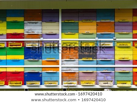 Stok fotoğraf: Colorful Hive