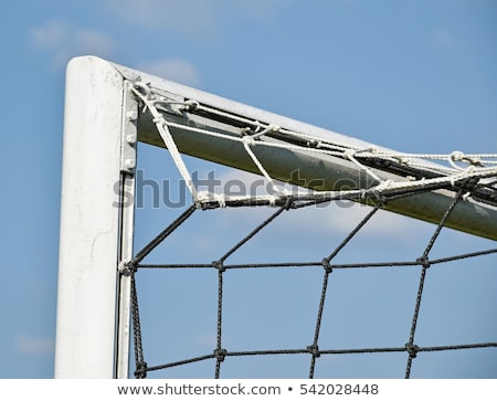 Zdjęcia stock: Goalkeeper In Blue Making A Save