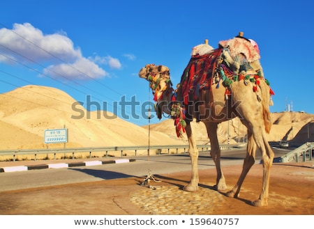 Stock fotó: Negev Desert Landscape Near The Dead Sea Israel