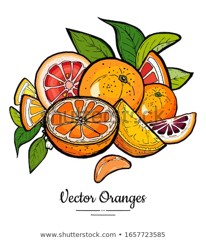 ストックフォト: Illustration Of Orange Fruit With Flower Leaf Slice Isolated On White Background