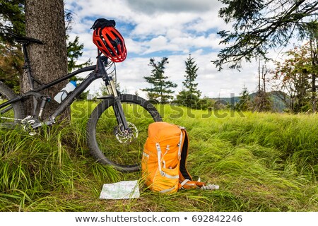 Stockfoto: Mountain Bike Mtb On Green Summer Forest Trail Inspirational La