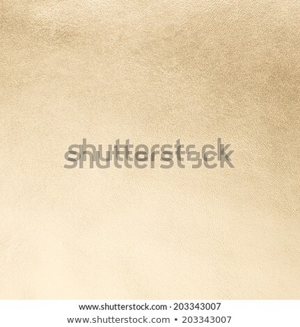 Golden Color Leather [[stock_photo]] © homydesign