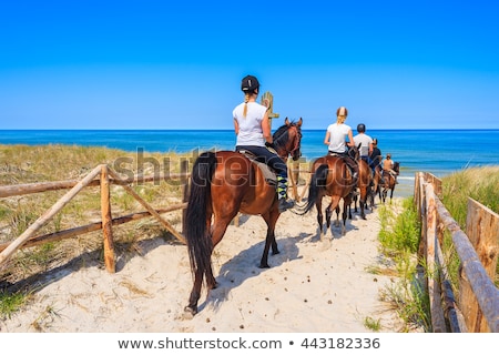 Сток-фото: Young Woman Riding A Horse