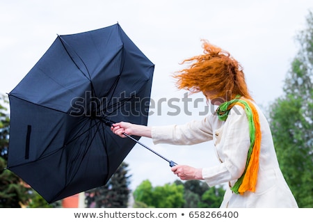 Stock photo: Strong Wind