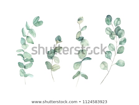 Stock photo: Colorful Leaves
