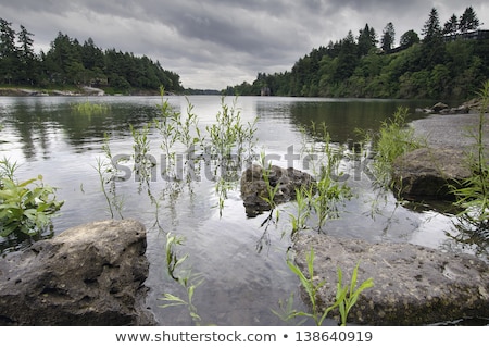 Stock photo: Rocks Formation At Willamette River