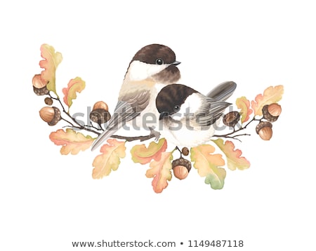 Foto stock: ájaros · en · el · árbol · de · otoño