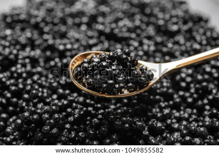 Stok fotoğraf: Black Caviar