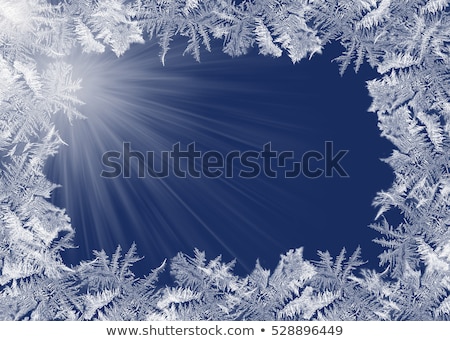 Zdjęcia stock: Frosty Natural Pattern