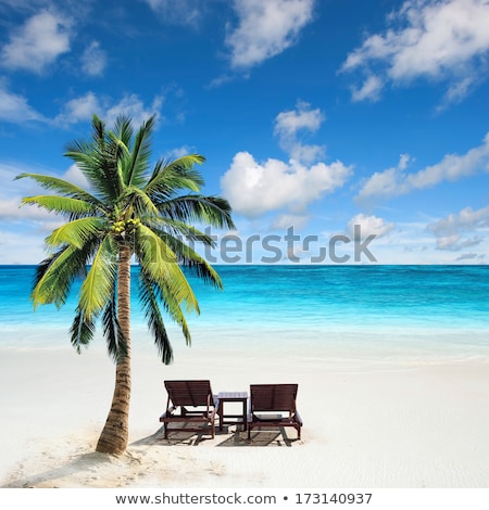 Сток-фото: Tropical Beach With Palm Tree And Chairs For Relaxation